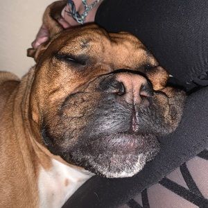 Meet your Posher, Lydia